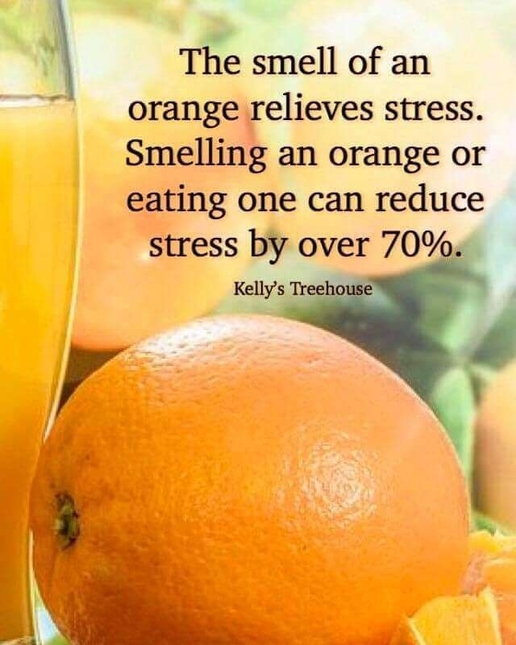 Orange: A Natural Stress Reliever